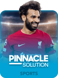 pinnacle solution lawinplay